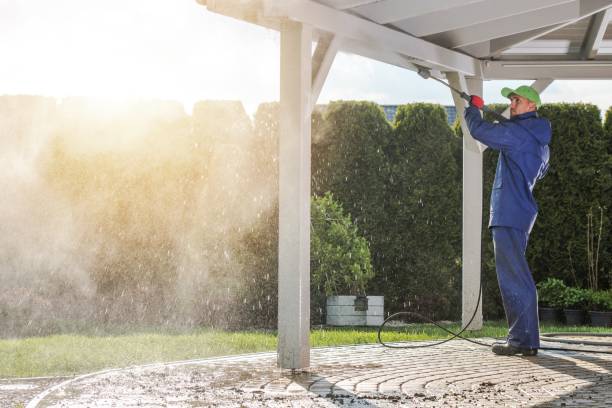 Best Vinyl Siding Pressure Washing in Silver Creek, NY