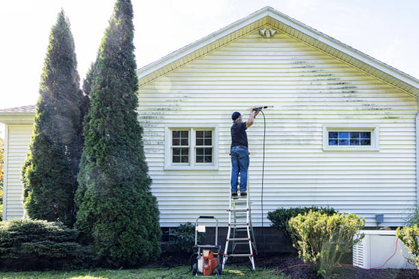 Best Soft Washing for Delicate Surfaces in Silver Creek, NY